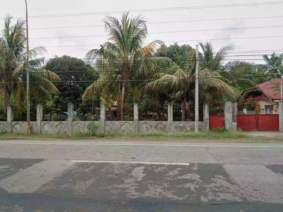 LOT FOR SALE — Residential Lot in Amlan, Negros Oriental, Philippines — Photo 2