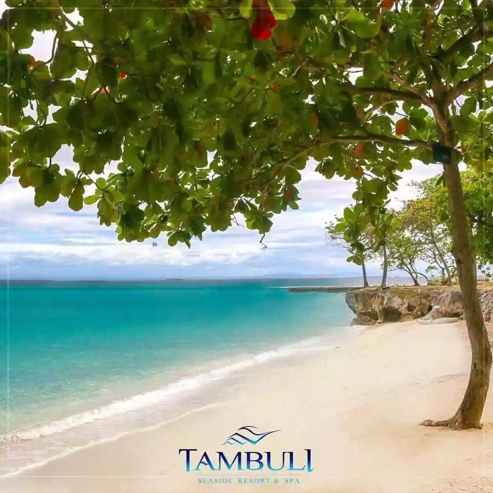 Open photo 16 of 18 — RUSH SALE !!! 2BR TAMBULI TOWER D (9th floor)