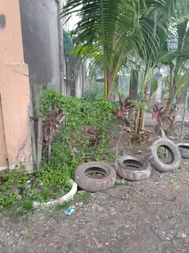 LOT FOR SALE IN POOC TALISAY CITY CEBU - photo 4