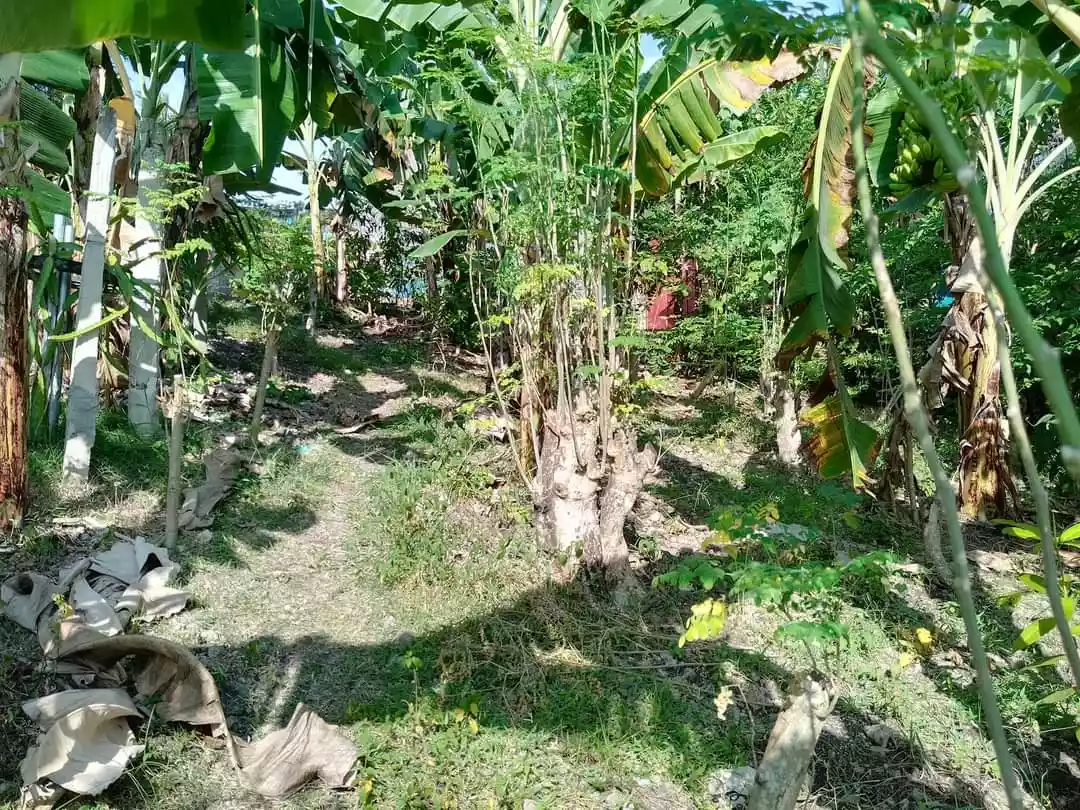 Lot for sale in Cebu City — Residential Lot in Cebu City, Cebu, Philippines — Photo 2