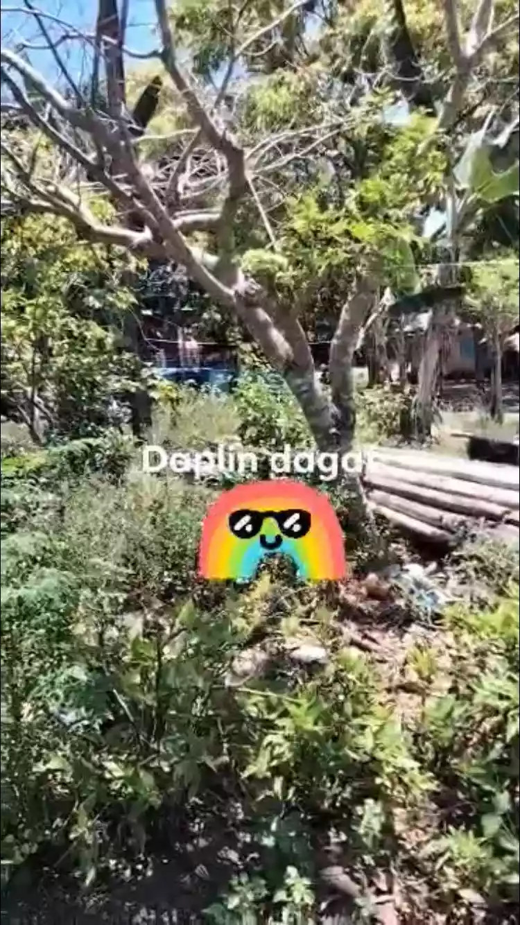 Beach Lot Property in Antipolo Tuburan — Beach Lot in Cebu, Philippines — Photo 4