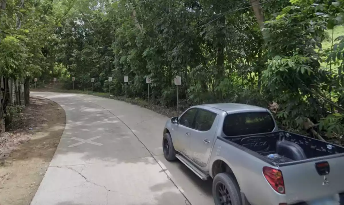 Lot for Sale in Cantumog Carmen, Cebu — Agricultural Lot in Cebu, Philippines — Photo 2