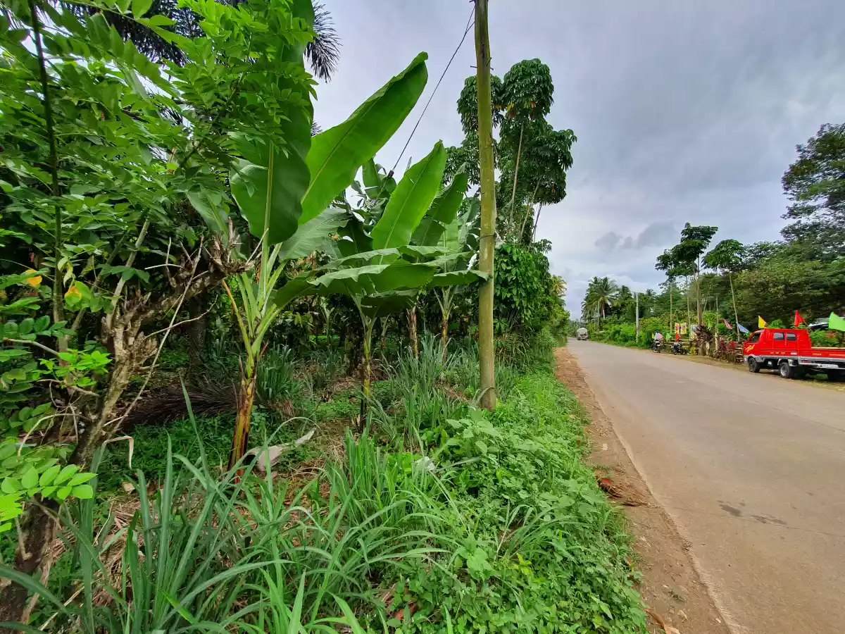10 HECTARES LAND IN CALINAN DAVAO