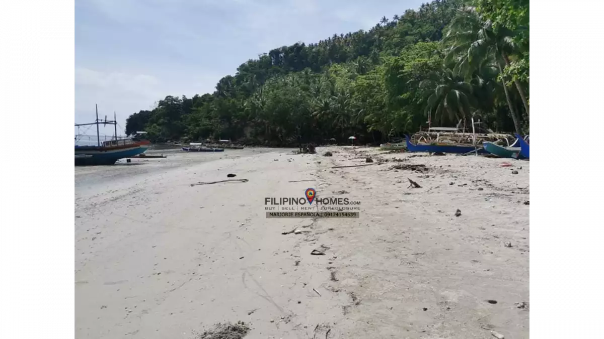 3000 sq.m Beach Lot for Sale with WHITE SAND || Glan, Sarangani — Beach Lot in Glan, Sarangani, Philippines — Photo 3
