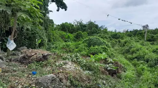 Open photo 13 of 21 — Cordova BIG LOT for SALE near CCLEX Cebu