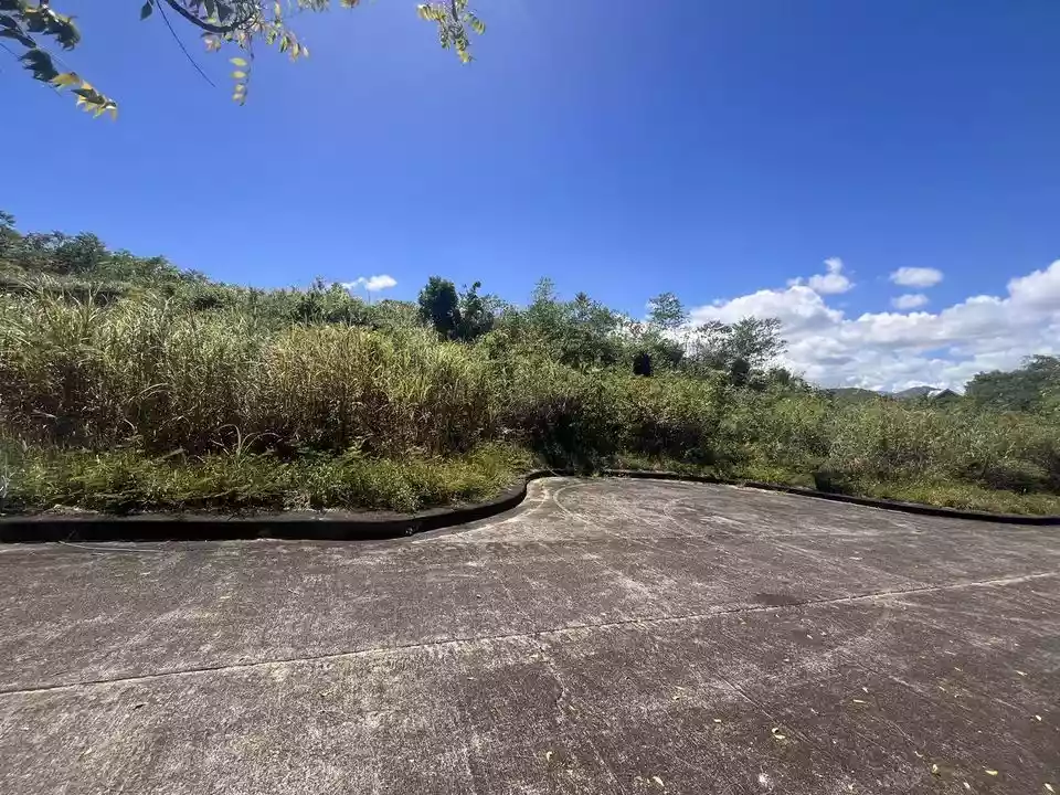 Lot for Sale in El Monteverde, Lamac, Consolacion Cebu — Residential Lot in New Orleans Street, Lamac, Consolacion — Photo 2