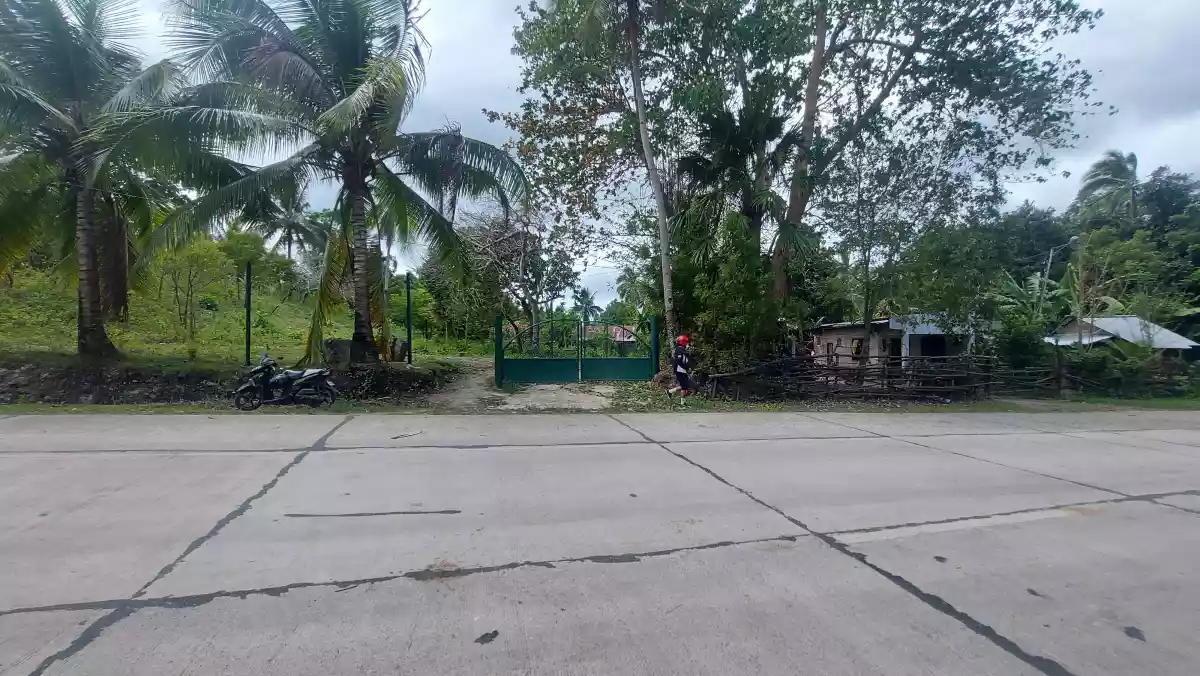 Beachlot for sale — Beach Lot in San Remigio, Cebu, Philippines — Photo 4