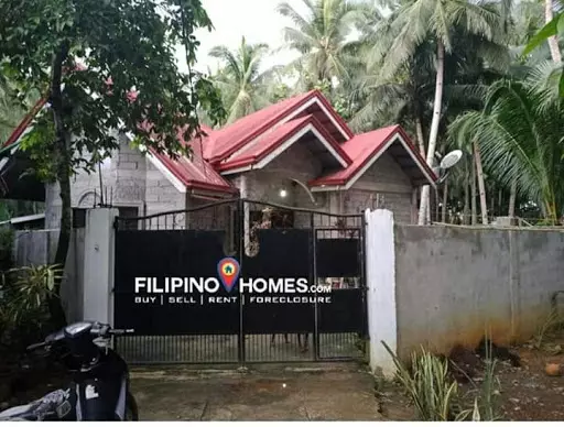 Tax dec — House and Lot in Surigao del Norte, Philippines — Photo 2