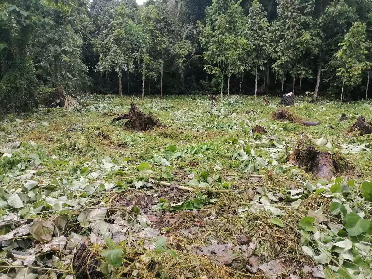 Residential Lot for Sale — Residential Lot in Valencia, Negros Oriental, Philippines — Photo 2