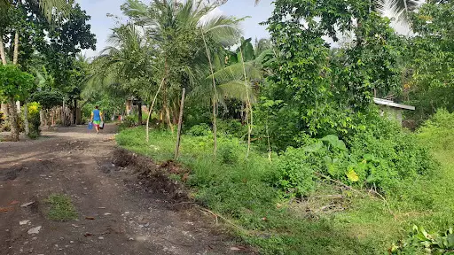 Lot Only — Agricultural Lot in Butuan City, Agusan Del Norte, Philippines — Photo 4