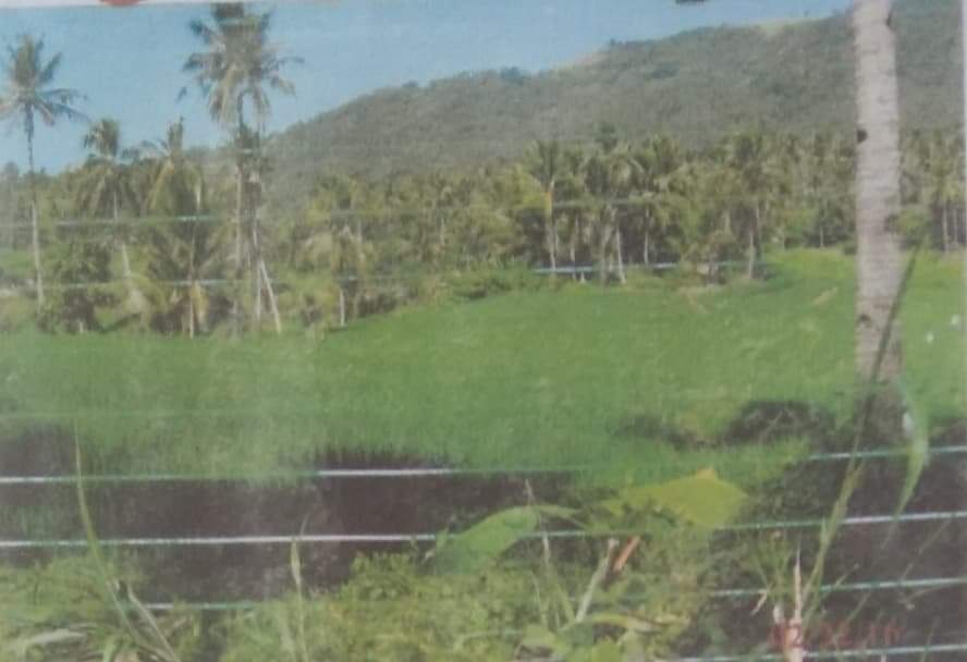 FARM LOT FOR SALE IN NAVAL, BILIRAN - photo 6
