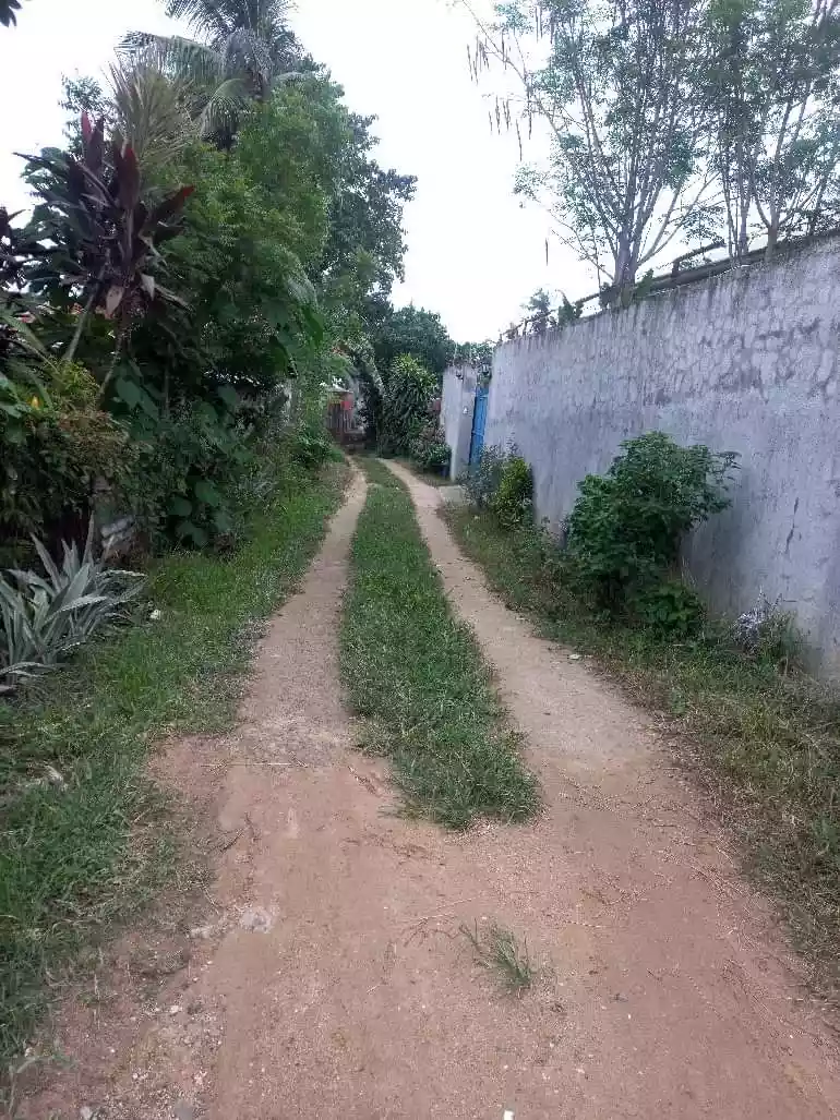 Yes,  Titled lot - photo 2