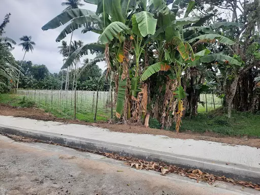 Sta.Veronica, San Pablo City, Laguna