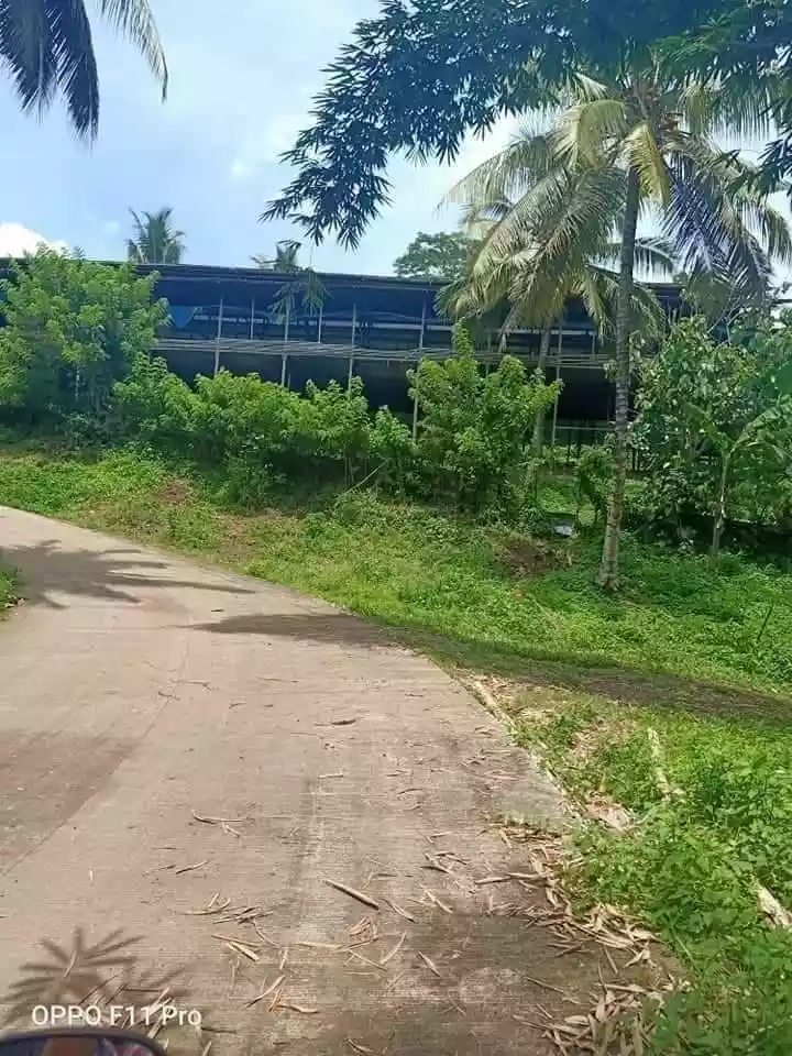Poultry Farm For Sale in Manolo Fortich Bukidnon - photo 4