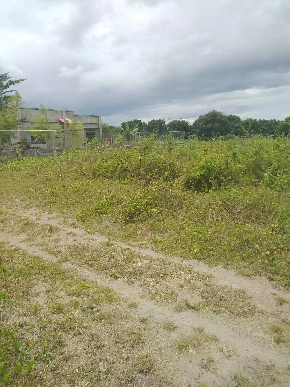 Lots for sale( 185 sq meters each) — Agricultural Lot in General Santos City, South Cotabato, Philippines — Photo 3