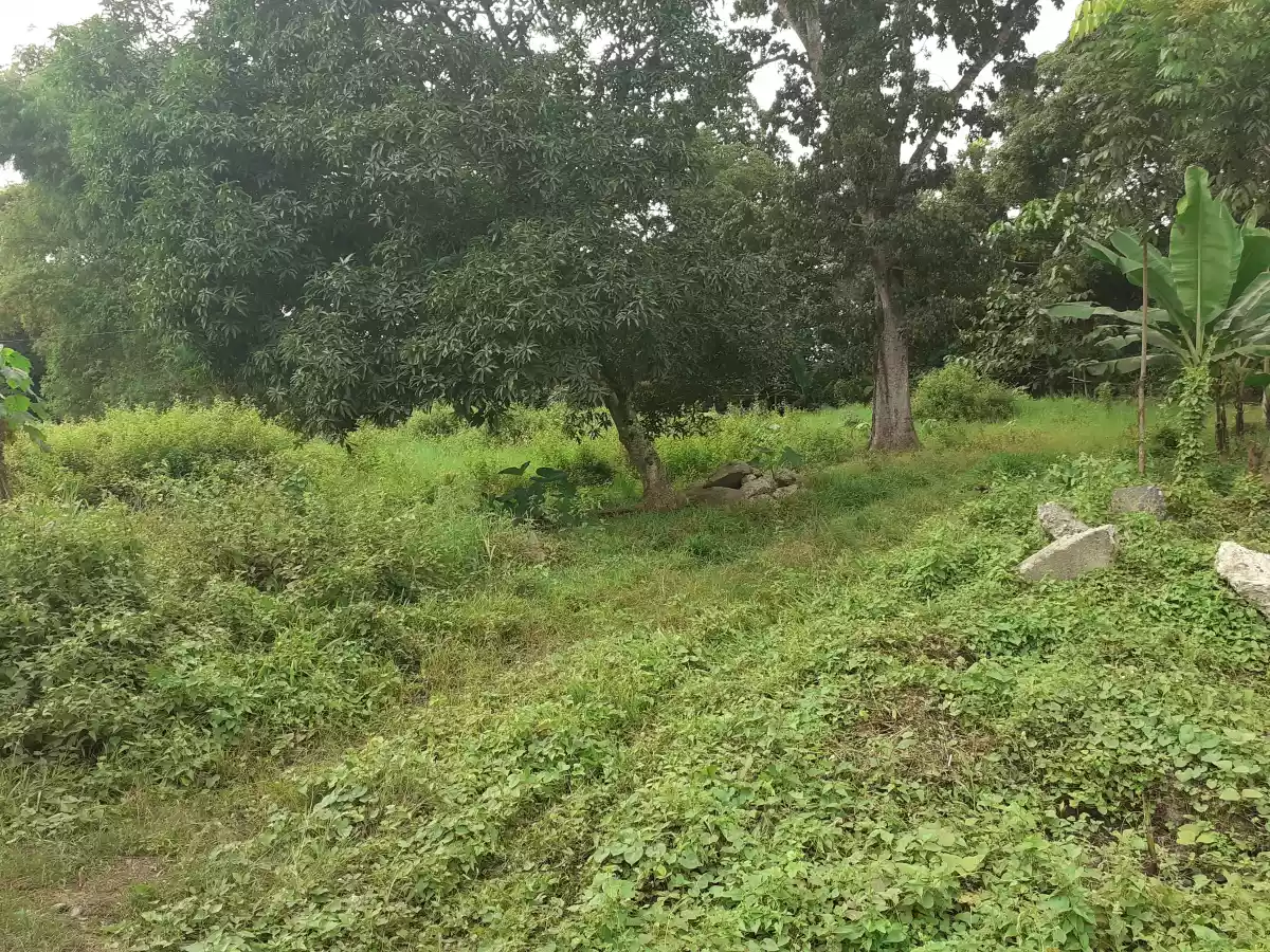 Lot 3,834sqm for sale