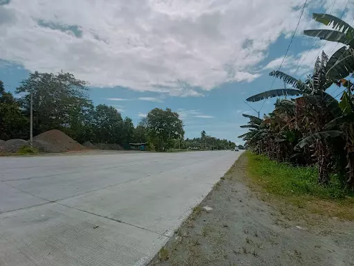 4919 sqm lot for sale — Residential Lot in South Cotabato, Philippines — Photo 3
