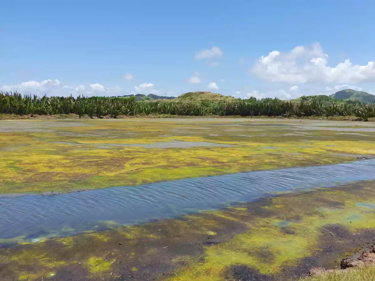 Developers' Pick! Prime Location for Township/Commercial Development in Roxas City - photo 6