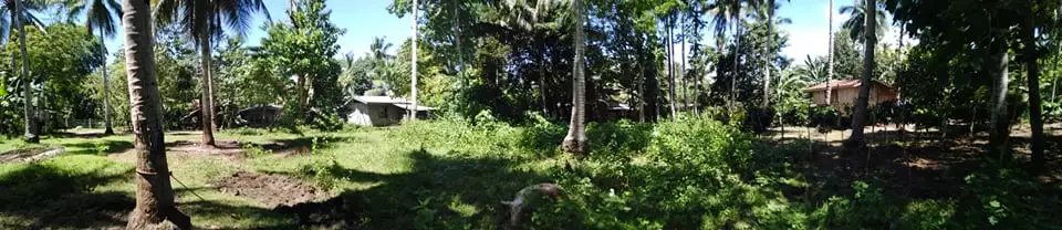 Lot in Toril, Samal - photo 6
