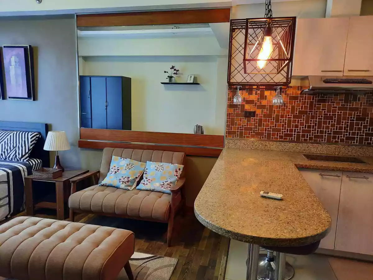 Furnished Studio Unit at ASIA PREMIERE RESIDENCES in IT Park, Cebu City - photo 5
