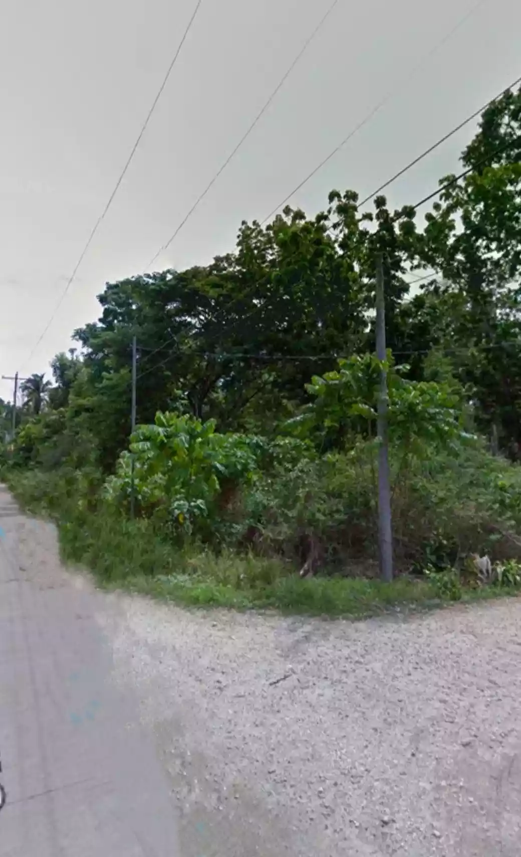 Lot for Sale in Tagbilaran City- First Lot & Corner Lot! - photo 2