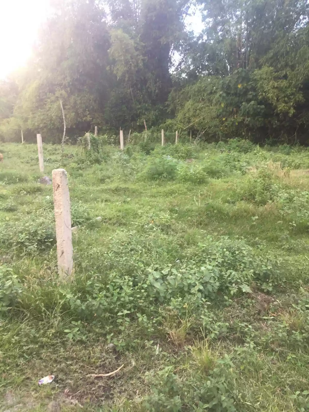 Sulodpan Bacong Subdivided lots - photo 4