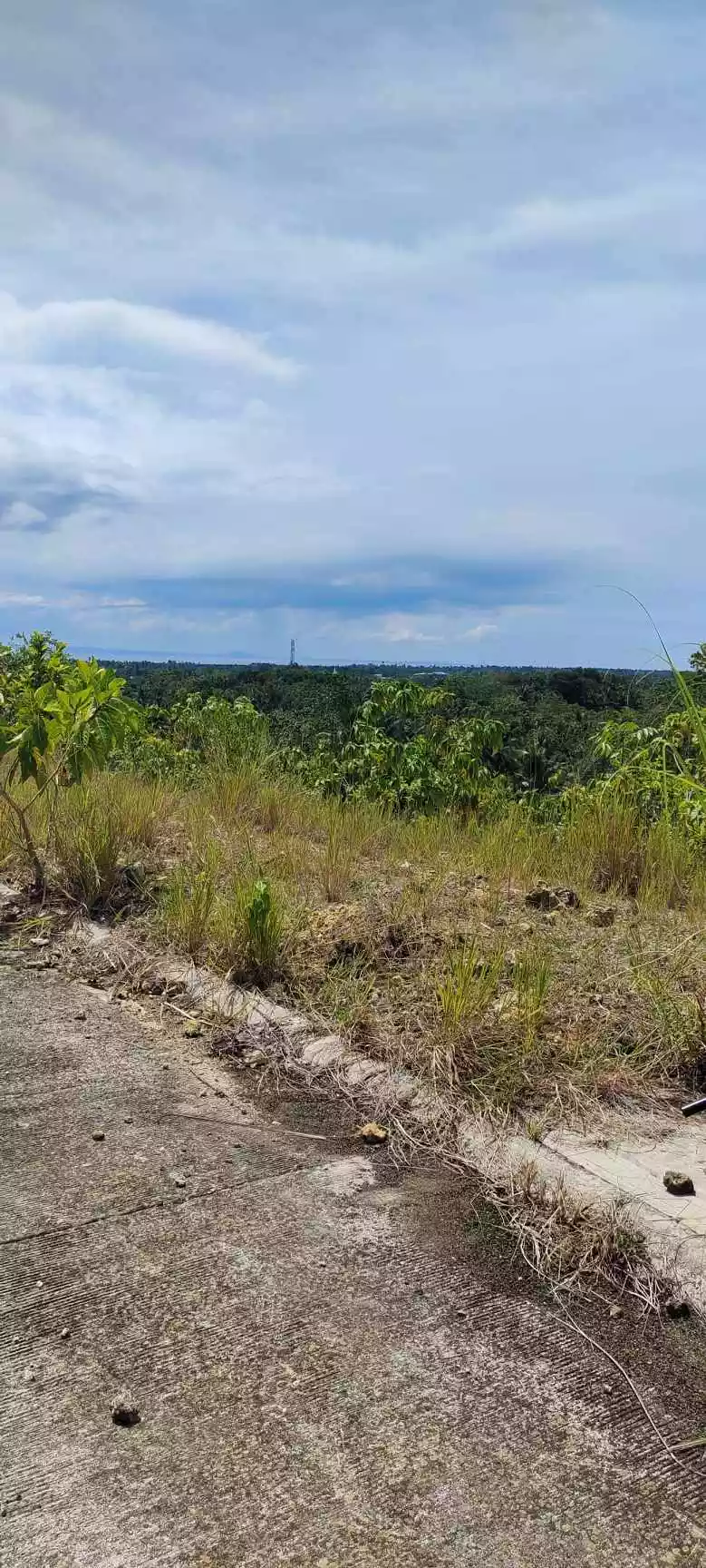 For Sale Lot Only in Verona Subdivision Balamban — Residential Lot in Cebu City, Cebu, Philippines — Photo 6