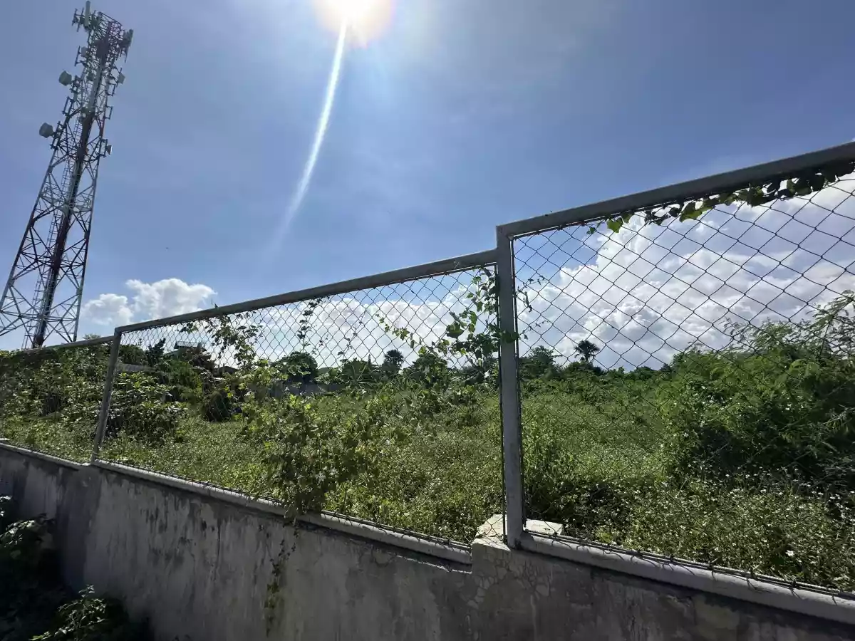Commercial Land For Sale - photo 4