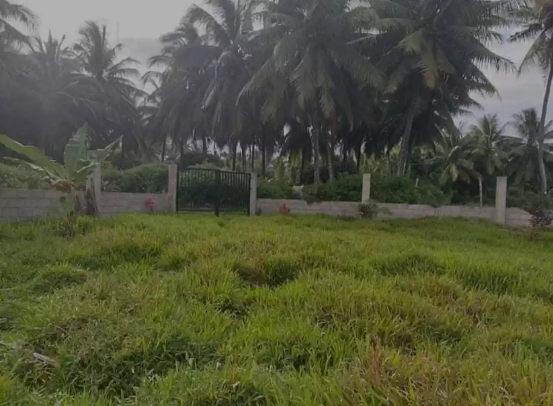 LOT FOR SALE IN SIBULAN