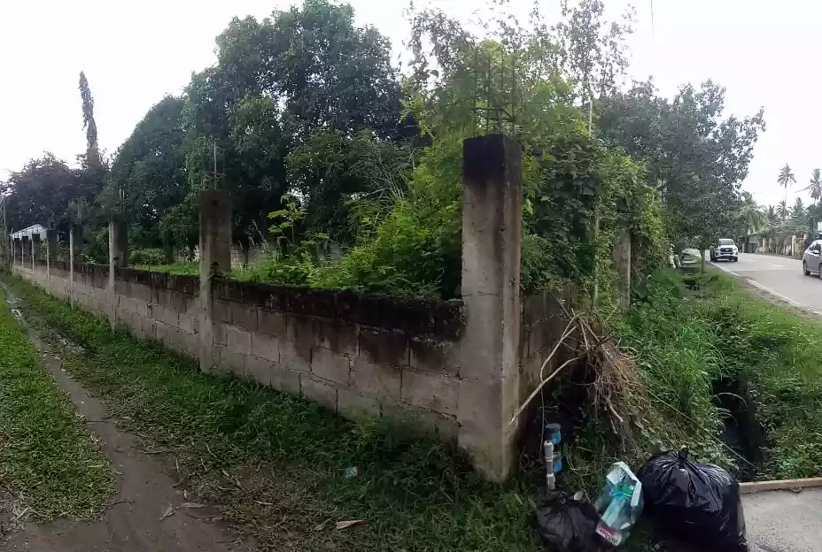 Along National Road Residential Lot — Residential Lot in Negros Oriental, Philippines — Photo 5