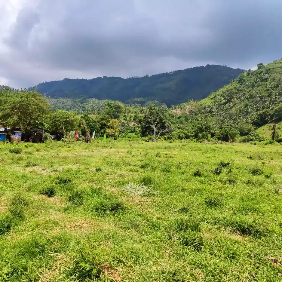 15.8 Hectares for sale - photo 5