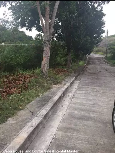 Subdivision Lot for Sale — Residential Lot in Consolacion, Consolacion, Cebu — Photo 2