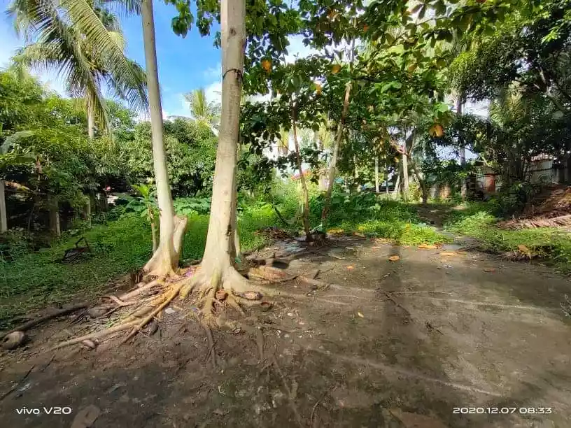 Residential Lot - photo 3