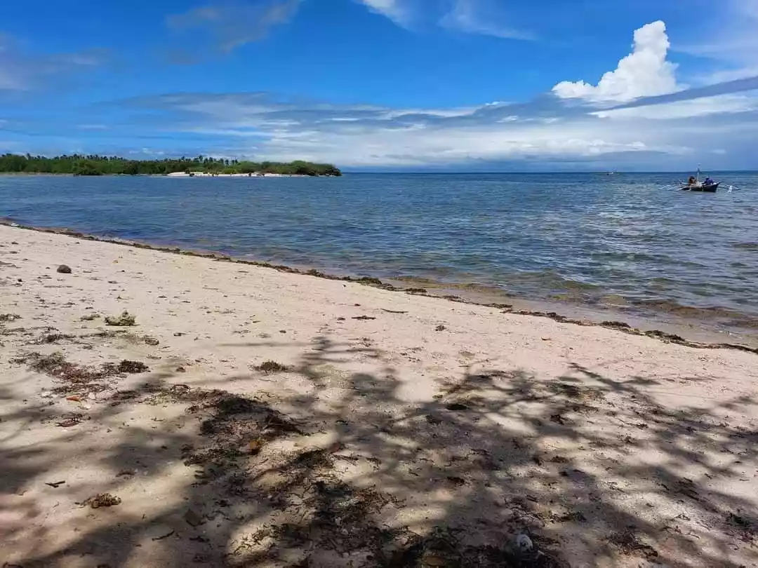 Beachlot for sale in Bantayan, Island — Beach Lot in Philippines — Photo 4