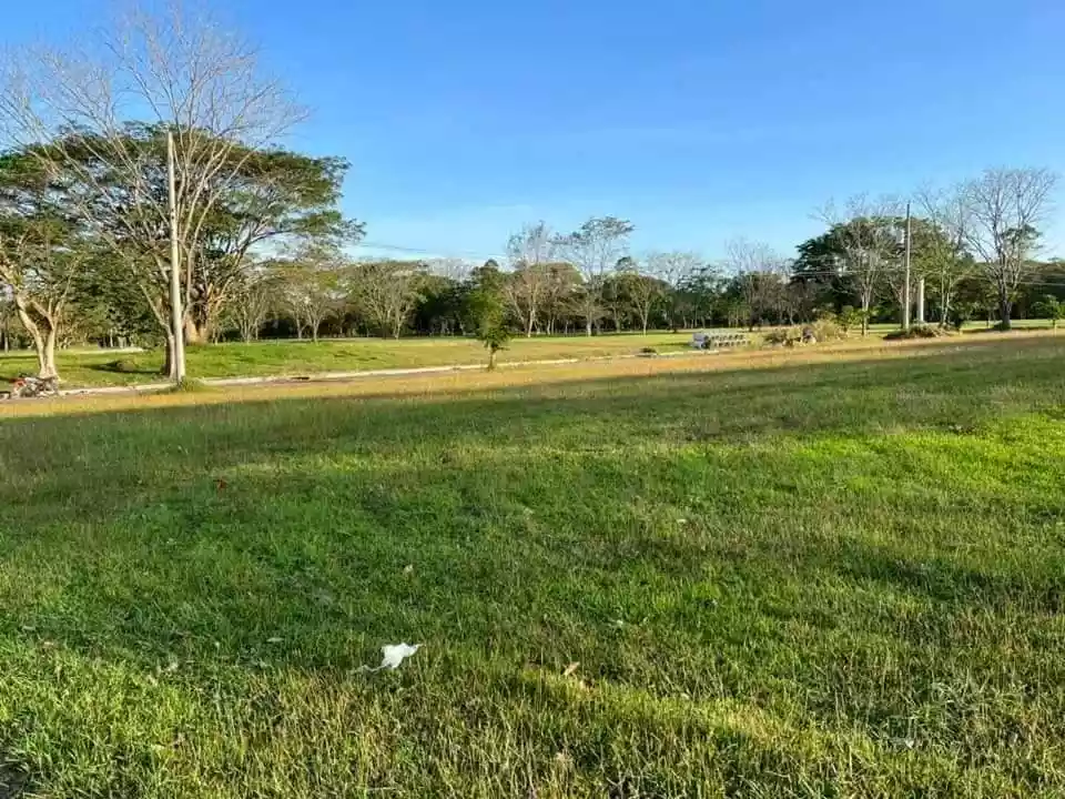 Lot for saleâ—â— — Residential Lot in Barangay Mandug, Davao City, Davao del Sur — Photo 3