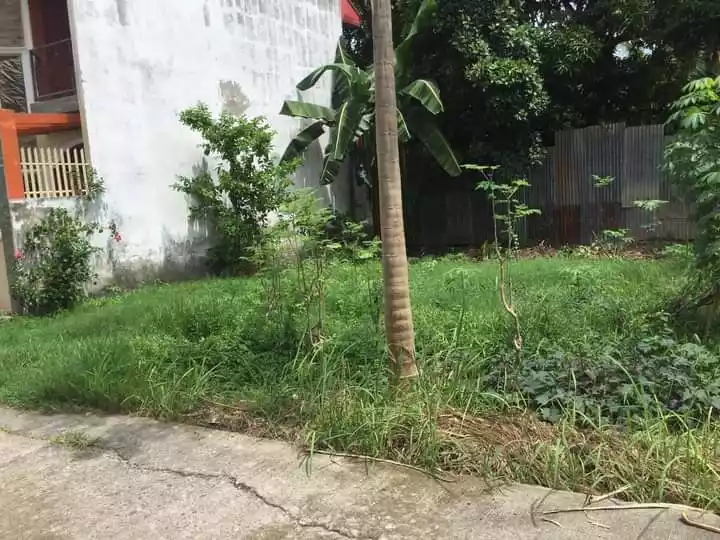 Yes — Residential Lot in Liloan, Cebu, Philippines — Photo 3