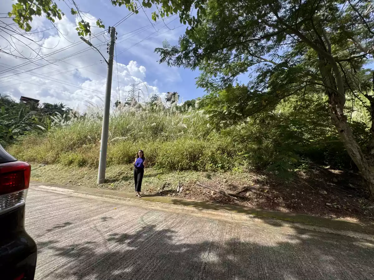 LeGrand Heights Mandaue — Residential Lot in Cebu, Philippines — Photo 4