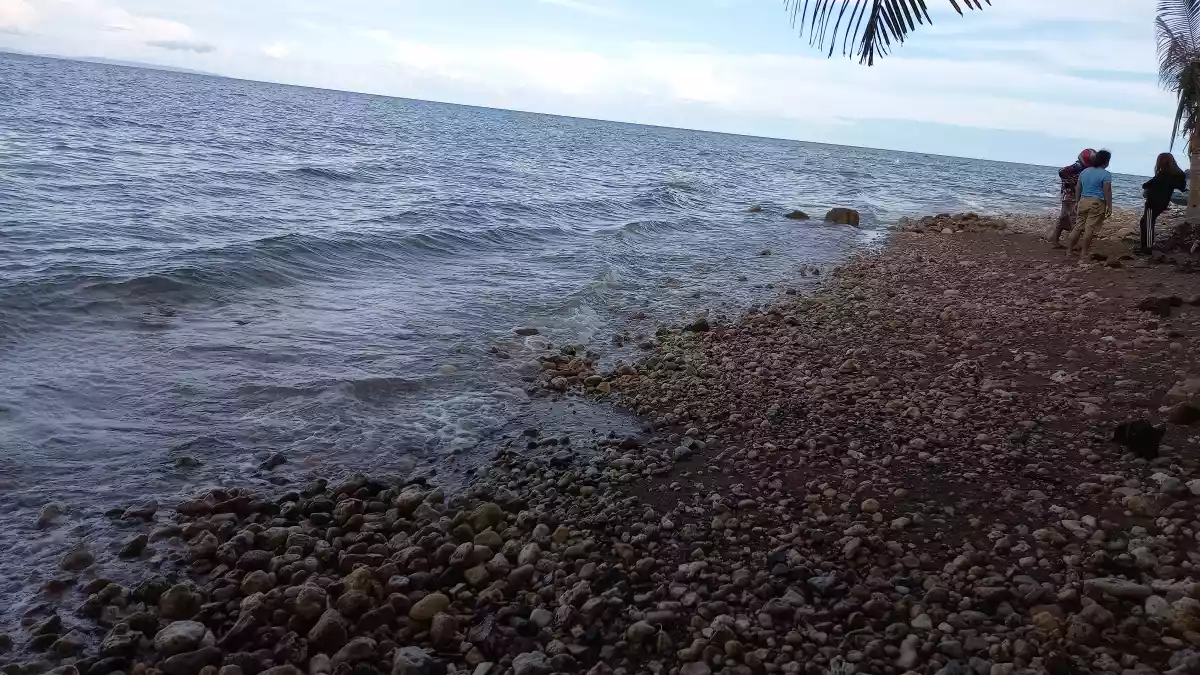 Tax dec — Beach Lot in Catmon, Cebu, Philippines — Photo 5