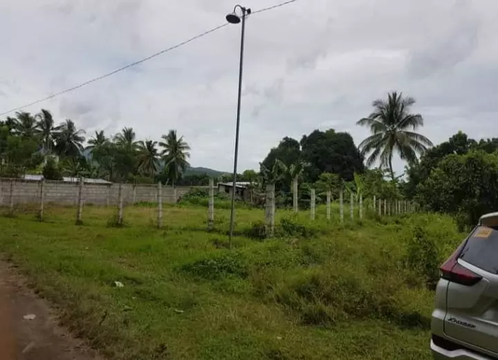 Agricultural Lot in Dumaguete For Sale