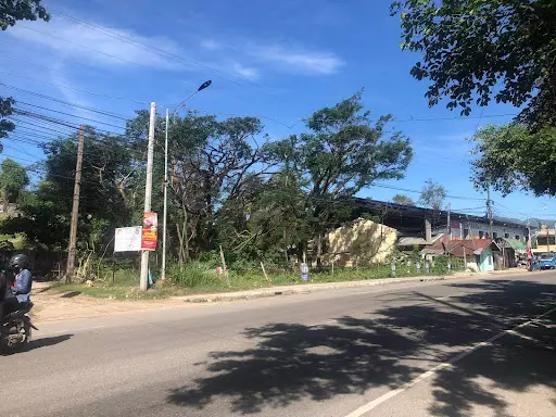 Lot for Sale in Danao City — Commercial Lot in Danao City, Cebu, Philippines — Photo 6