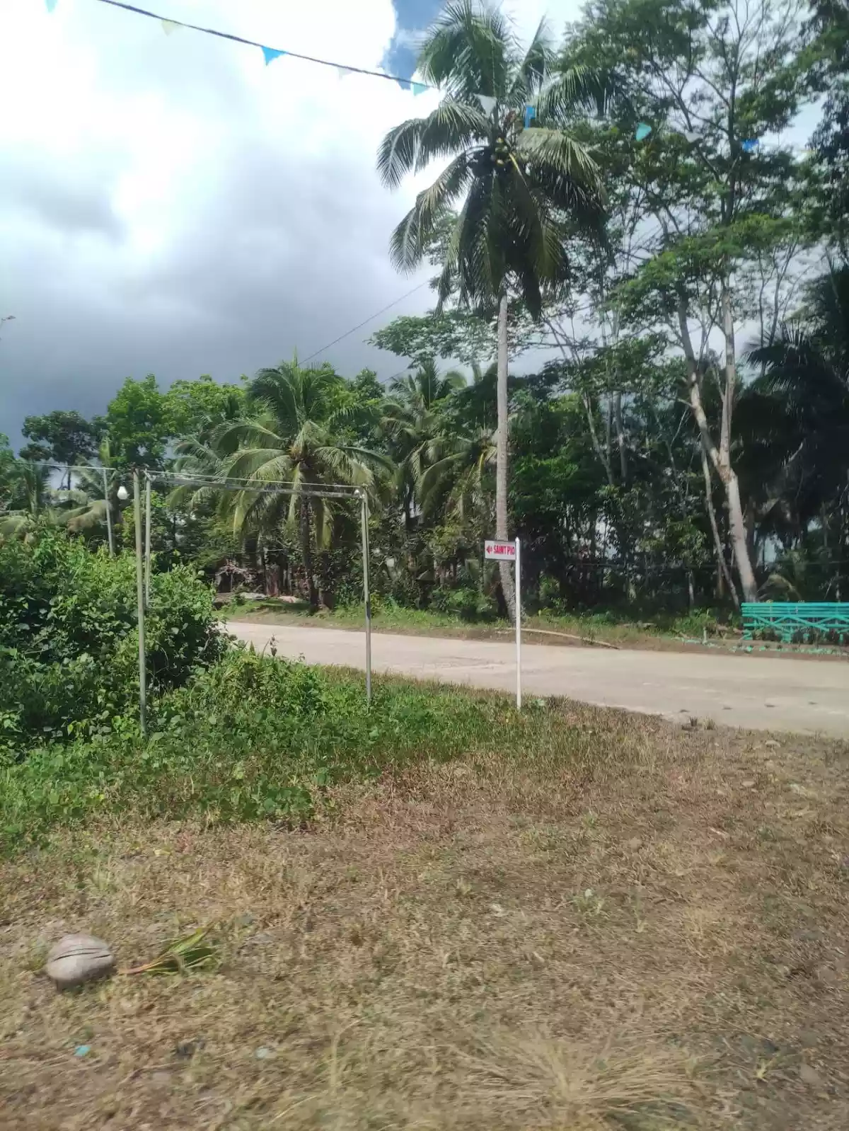 Booming Uptown Luha, San Jose, Tandag City  (Lot Area For Sale) — Agricultural Lot in San Jose Tandag City, Unnamed Road, Tandag — Photo 3
