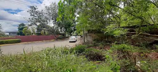 Overlooking City View in Maria Luisa Banilad lot only — Residential Lot in Paseo Esperanza, Cebu City, Cebu — Photo 4