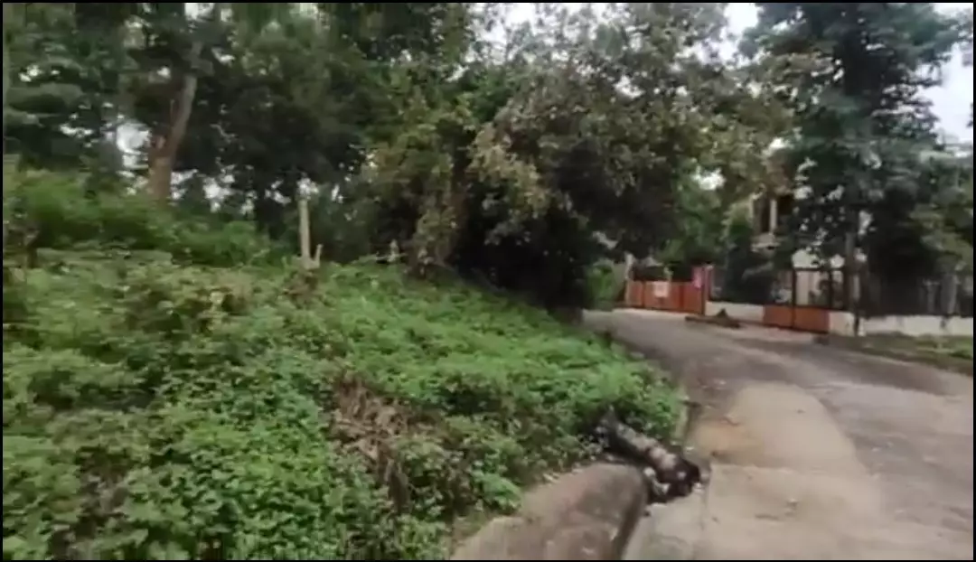 177SQM Lot For Sale at Metropolis Talamban