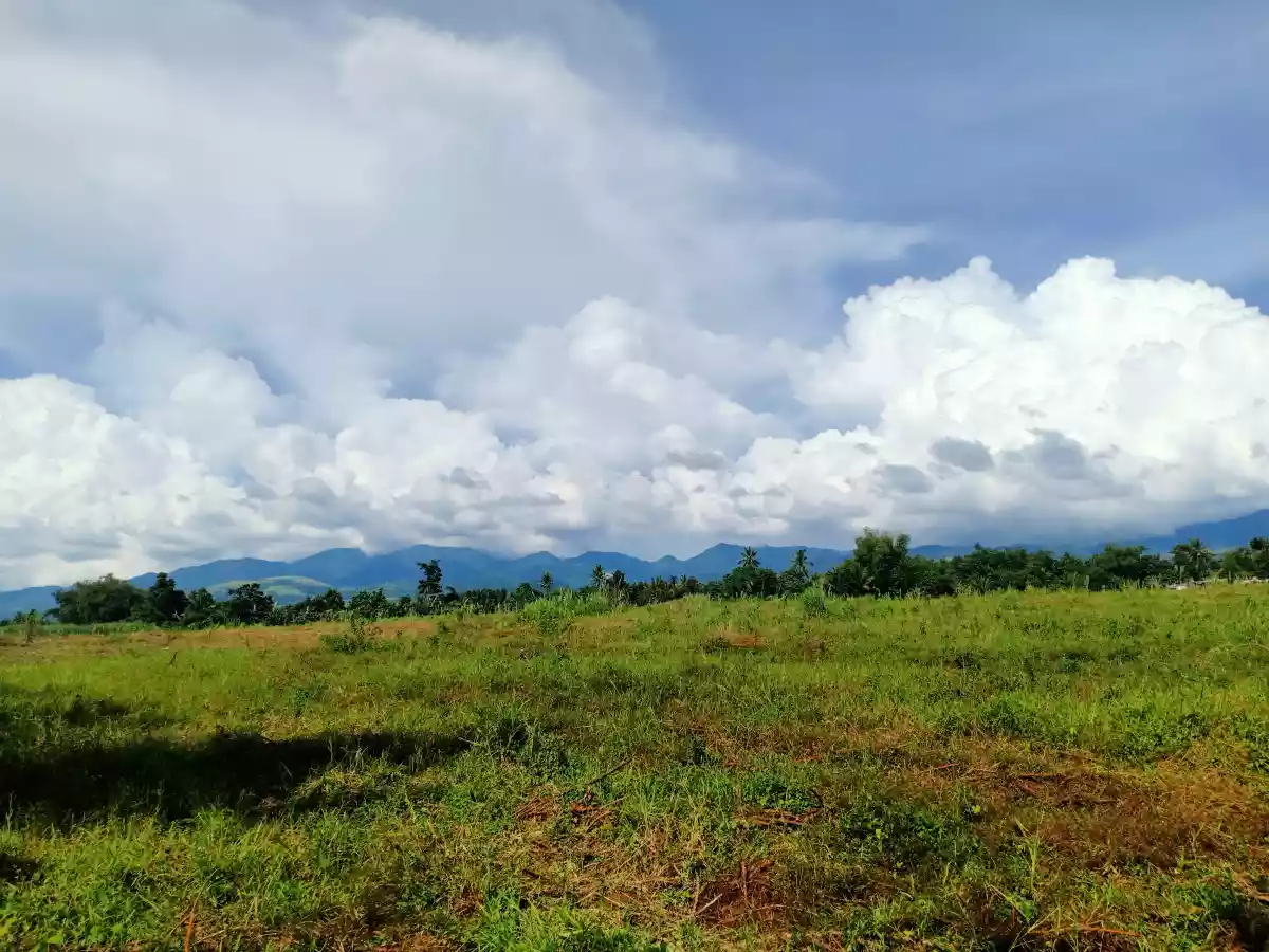 LOT FOR SALE — Agricultural Lot in Cabulihan, Ormoc, Leyte — Photo 3