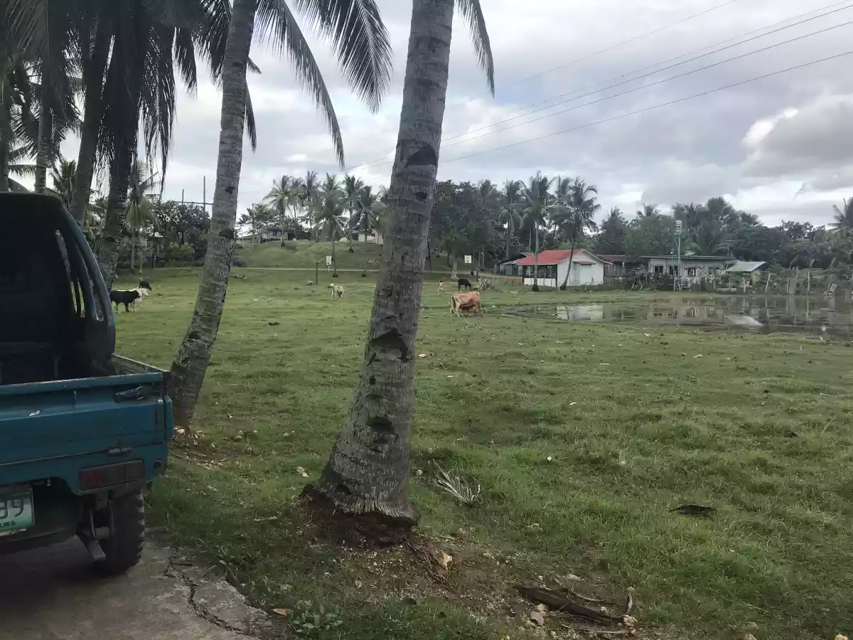 Industrial Lot for Sale - photo 3