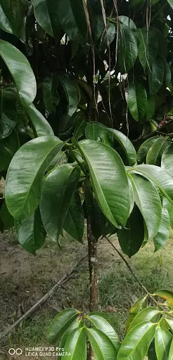 Open photo 15 of 19 — Agricultural farm