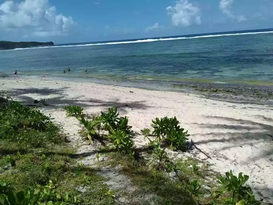Beach Lot For Sale in Burgos, Siargao Islands - photo 4