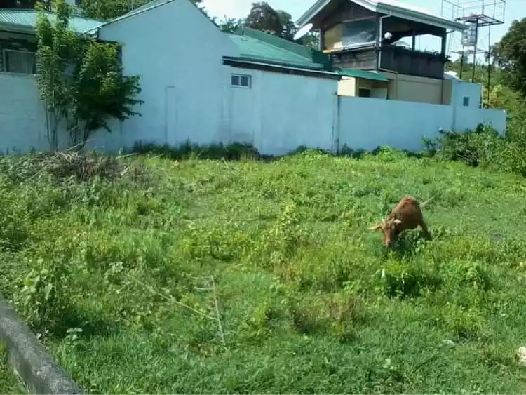 LOT FOR SALE! — Residential Lot in Cebu, Philippines — Photo 3