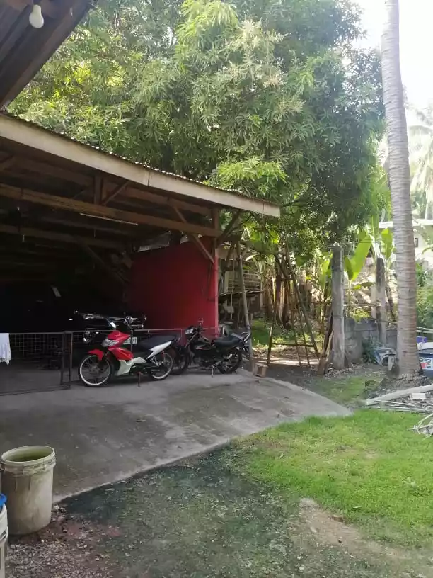 LOT FOR SALE IN LAGTANG TALISAY - photo 7