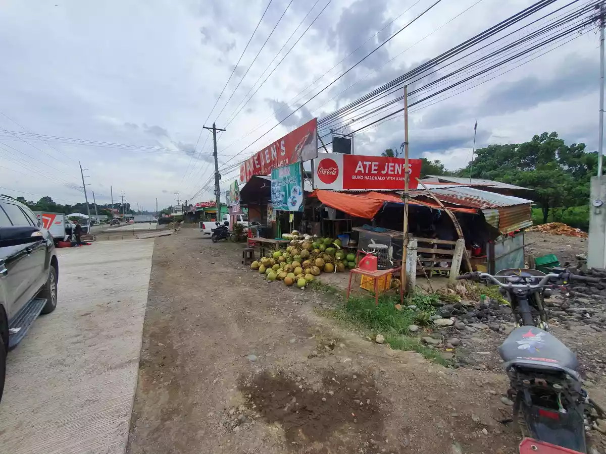 COMMERCIAL LOT — Commercial Lot in Tugbok, Davao City, Davao del Sur — Photo 3